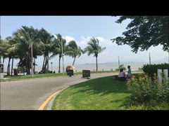 -深圳湾公园(南山区)