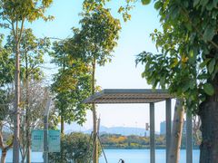 -深圳人才公园