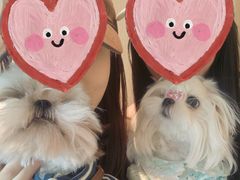 -阿嬷手作(成都万象城店)