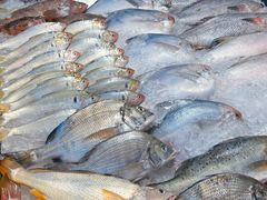 -合家小菜餐馆(新诚花苑店)