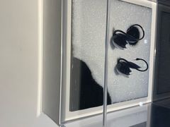 -BLACKSWAN黑天鹅(环球店)