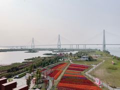 -芒洲湿地公园