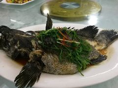 清蒸石斑鱼-宜兴隆家宴·私房菜(泰安华庭店)