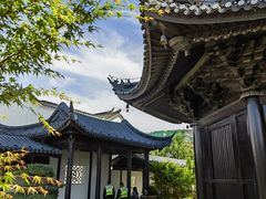 -月栖华明-云间草堂清茶馆(泗泾古镇店)