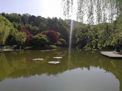 -石峰公园