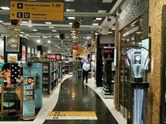 -谢列梅捷沃国际机场