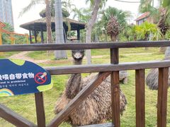 -灵玲国际马戏城