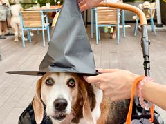 -Grande A'moo(上海万象城店)