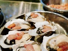 鸡子蚝-飞尝蚝·顺德菜·鱼生(顺德总店)