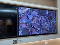 -大米和小米儿童成长中心·社交言语·感统·学习力提升(光明中心)