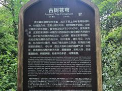-龙苍沟森林公园