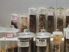 -广东中医药博物馆