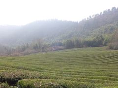 -敬亭山风景名胜区