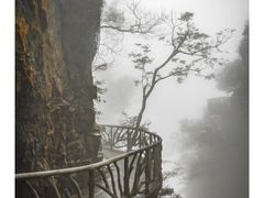 -张家界天门山国家森林公园