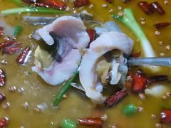 -云鱿记鱿鱼鸡·野生菌火锅(人民南路店)