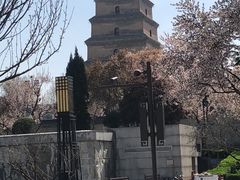 -大雁塔北广场音乐喷泉