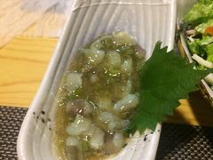 芥末章鱼-季乐