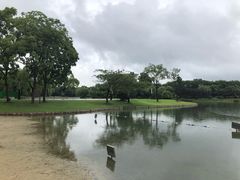 -上海佘山世茂艾美酒店