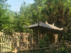 -塘沽森林公园