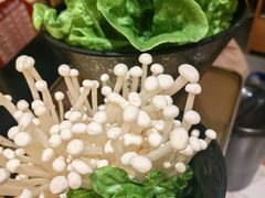 -牛三斤潮汕鲜牛肉火锅(昌发展万科店)