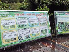 -天鹿湖森林公园