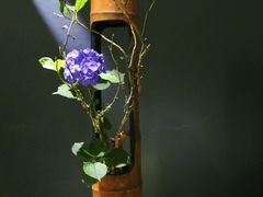 -乐领拈花溪·林涧食韵
