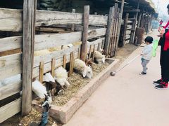 -呀路古热带植物园