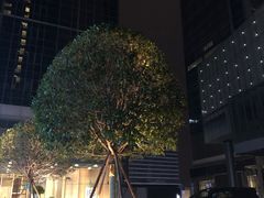 -成都尼依格罗酒店