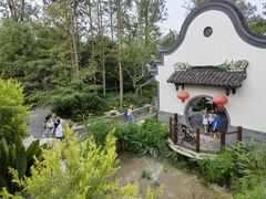 -东平国家森林公园