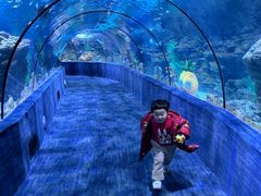 -南昌海洋公园