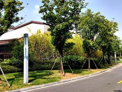 -上海崇明金茂凯悦酒店