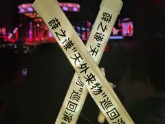 -南京奥林匹克体育中心-体育馆