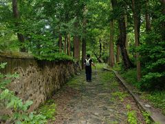 -阳台山自然风景区