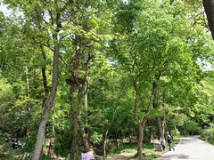 -WeLope紫金山探险公园