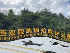 -西双版纳原始森林公园