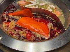 -蜀九香火锅(彩虹店)