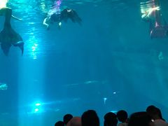 -福州罗源湾海洋世界旅游区