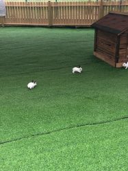 -萌宠亲子动物乐园(槐房万达店)