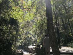 -江西阳明山国家森林公园