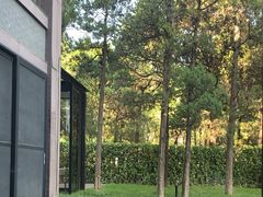 -曲水兰亭(北京四惠店)