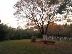 -艾溪湖湿地公园