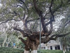 -中国美术学院象山校区-民艺博物馆