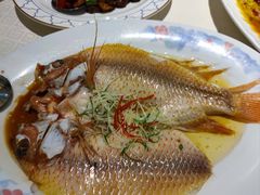 清蒸多宝鱼-顺峰海鲜酒楼(省府店)