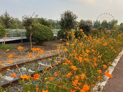 -兰陵国家农业公园