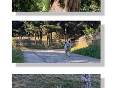 -北京西山国家森林公园