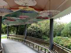 -乌石塘景区