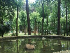 -东湖落雁景区