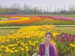 -杭州湾海上花田景区