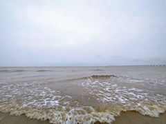 -南汇新城海滩