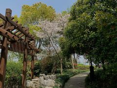 -无锡蠡湖国家湿地公园-蠡园